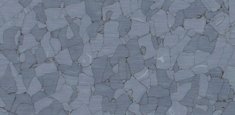 C6092