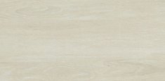 6505 White Oak
