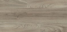 6506 Light Elm