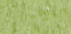 Yellow green 0705