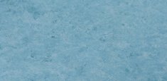 PERIWINKLE 761