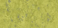 ABSINTHE 695