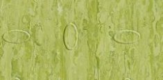 Green 3240861