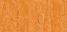 Bright orange 0863