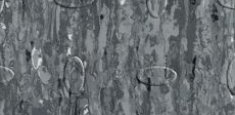 Grey 0866