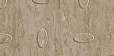 Grey beige 0820