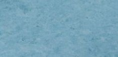 Periwinkle 14872761