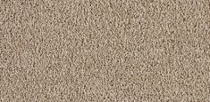 231 Flax