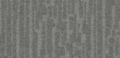 Livid Grey