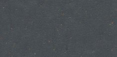 3583 Chocolate Blues