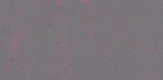 3735 Purple Shimmer