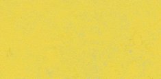 374135 Yellow Glow