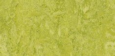 322435 Chartreuse