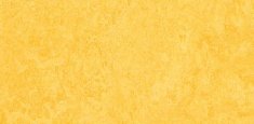 3251/325135 Lemon Zest