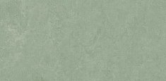 3891/389135 Sage