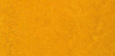 3125/312535 Golden Sunset