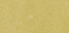 3259/325935 Mustard