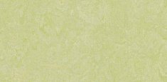 3881, 388135 Green Wellness