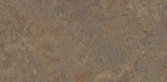 3426, 342635 Cork Tree