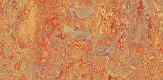 3403, 340335 Asian Tiger