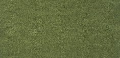 591 Moss