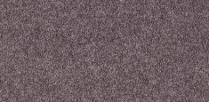 080 Purple