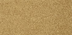 371 Gold Leaf