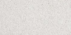 890 Ivory