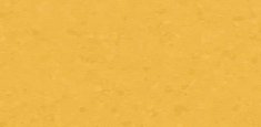 50054 Amber