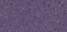 50035 Purple Heart