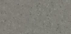 50015 Basalt