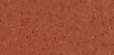 50061 Saddle Brown