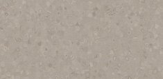 50019 Clay