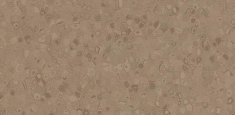 50025 Earth