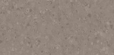 50020 Silt