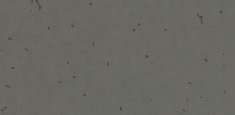 50215 Ebony