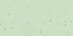 50238 Sea Green