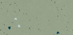 51236 Vivid Thyme