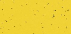 50201 Yellow