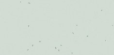 50220 Mineral