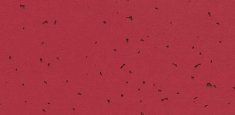 50228 Burgundy