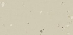 51221 Vivid Linen