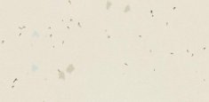 51222 Vivid Lace