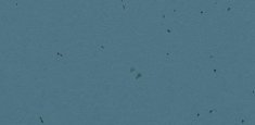 50204 Deep Sea