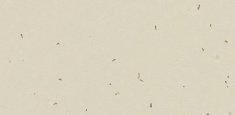 50221 Linen