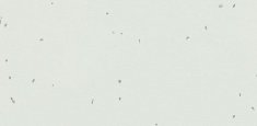 50230 Polar