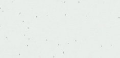 50200 Snow