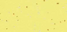 50436 Lemon