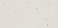 50401 Silver White Pearl