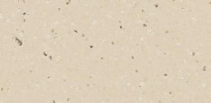 50403 Lemon Pearl